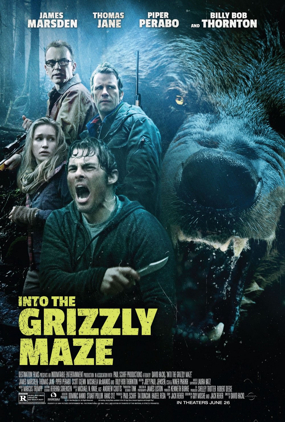 into-the-grizzly-maze-poster