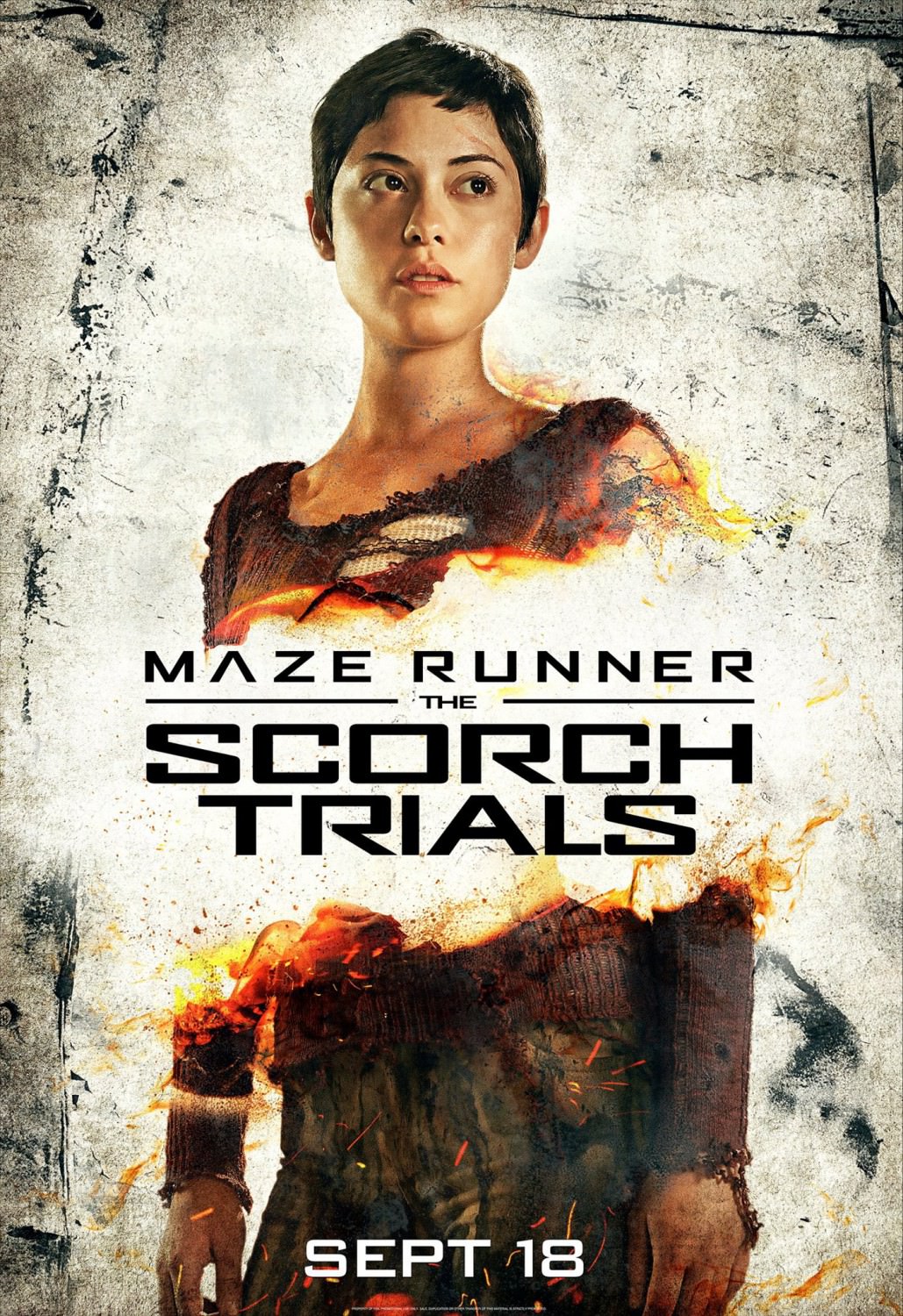 maze_runner_the_scorch_trials_ver4_xlg