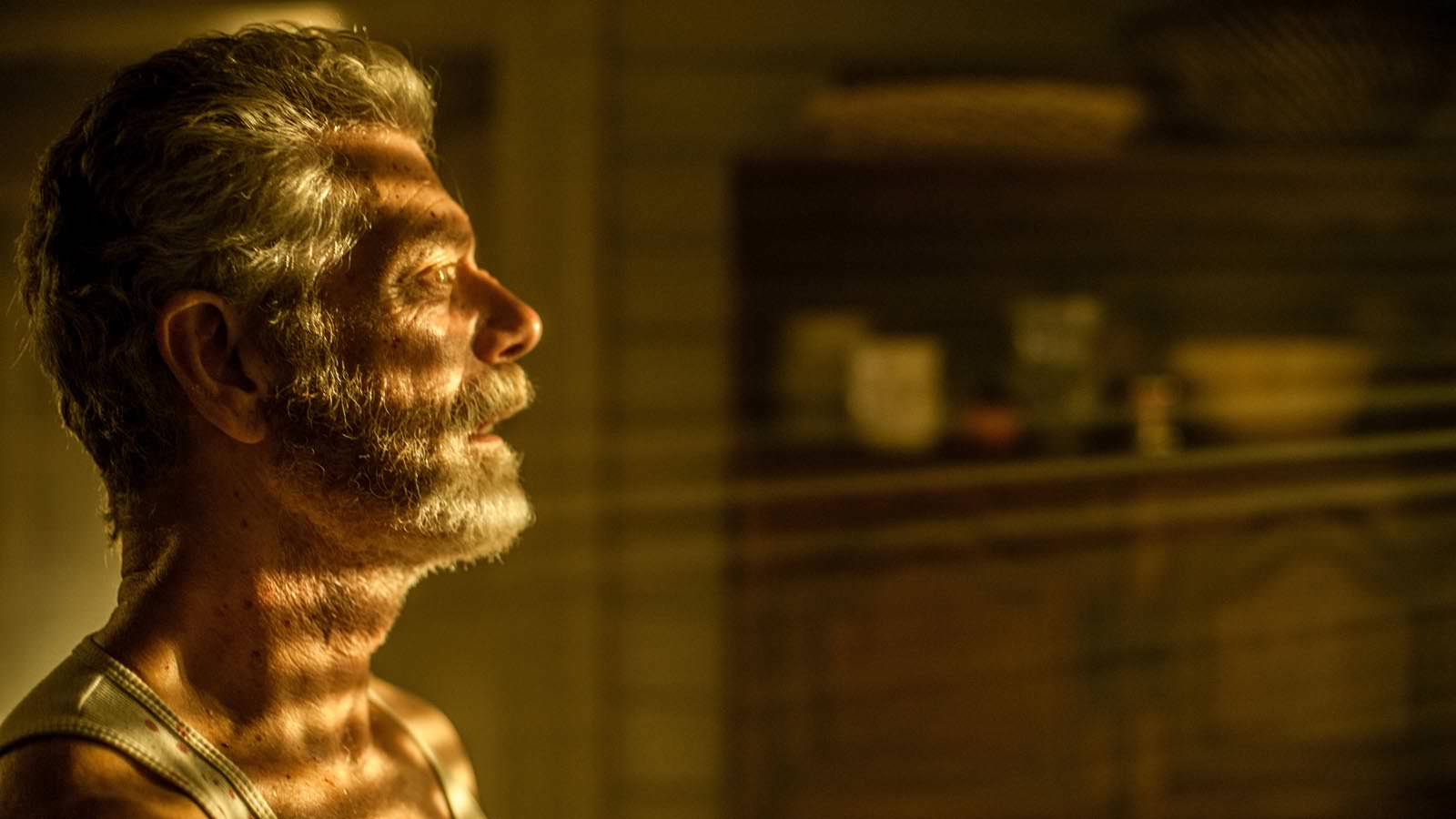 Stephen Lang stars in Screen Gems' horror-thriller DON'T BREATHE.